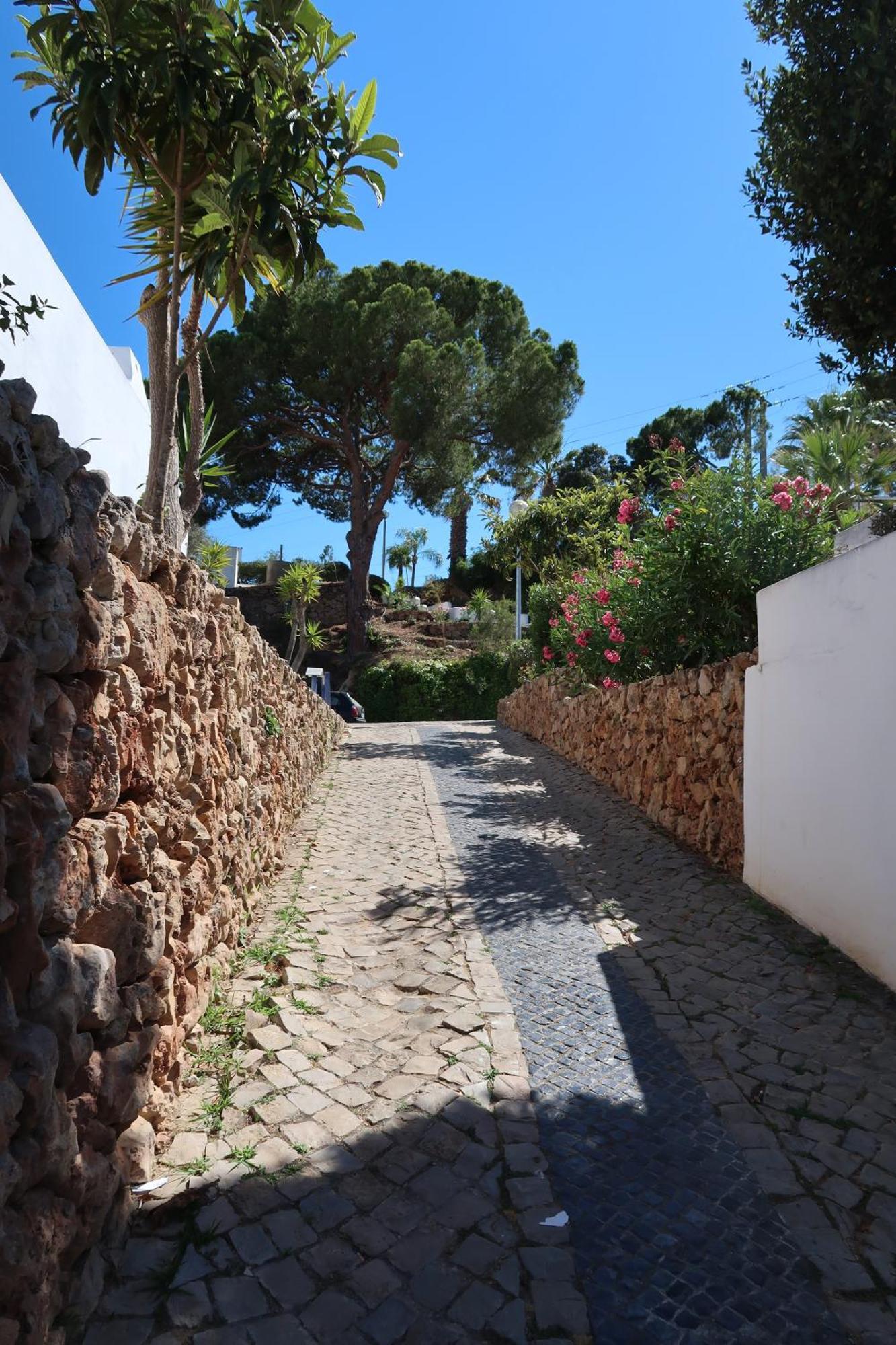 Apartment Surpresa